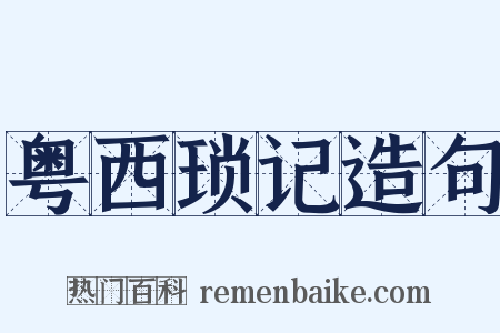 粤西琐记造句是什么意思的图片